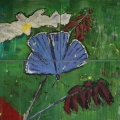 Friedhelm_Wolfrat-Mariposa 2