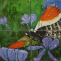 Friedhelm_Wolfrat-Mariposa 3