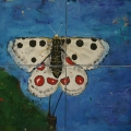 Friedhelm_Wolfrat-Mariposa 4