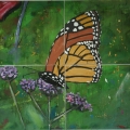 Friedhelm_Wolfrat-Mariposa 6