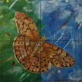 Friedhelm_Wolfrat-Mariposa 8