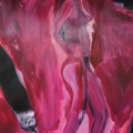 Friedhelm-Wolfrat_Magenta