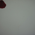 Friedhelm-Wolfrat_Red Code