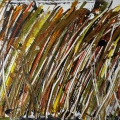 Friedhelm-Wolfrat_Schilf-I