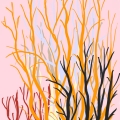 NO135 - 2019